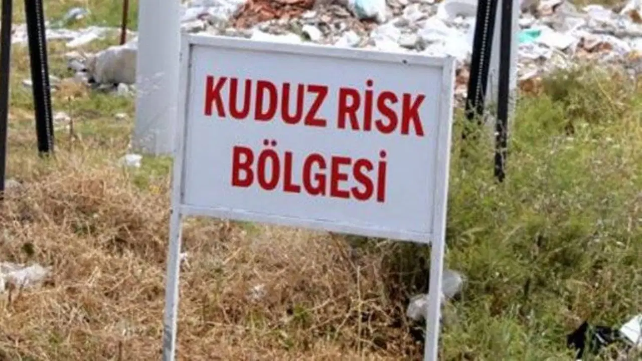 Kuduz alarmı!