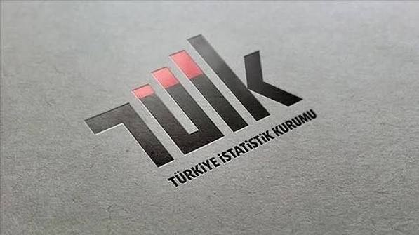 TÜİK'ten çarpıcı veriler: Rakamlarda büyük düşüş!